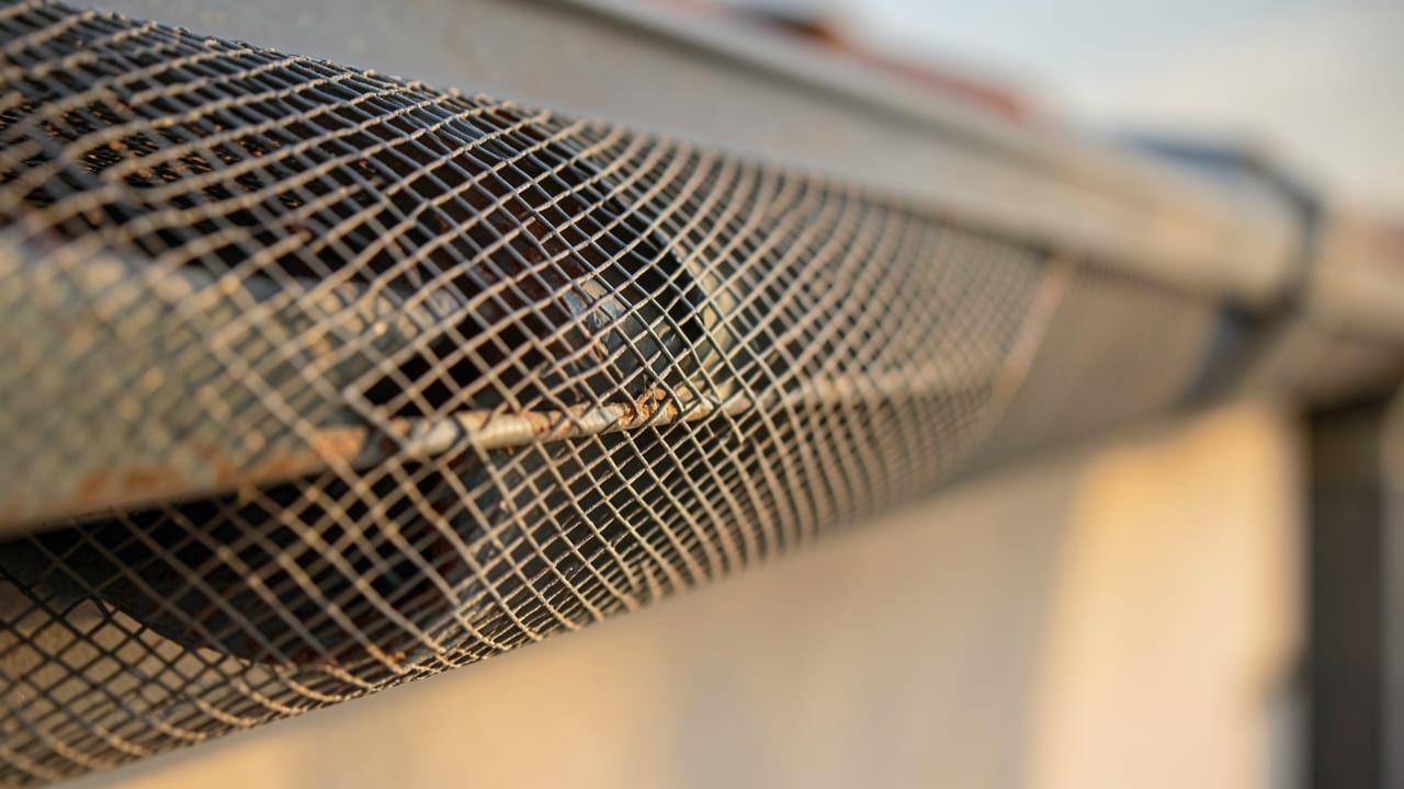 Gutter Screen Installation in Boca Raton, FL in Boca Raton