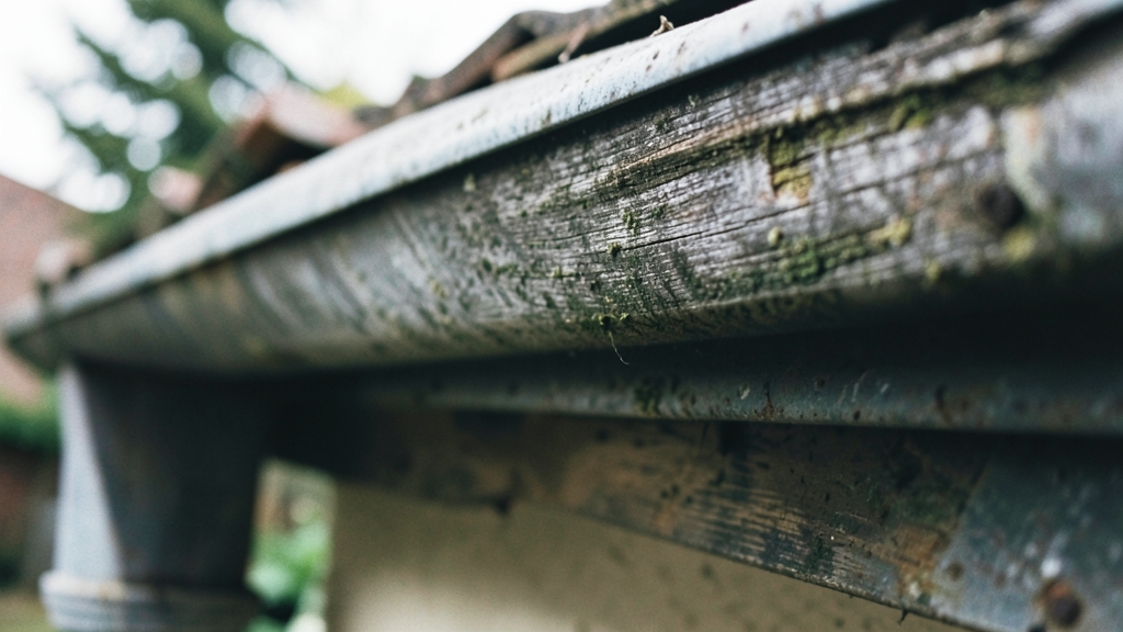 Preventing Ice Dams and Water Damage in Broomfield