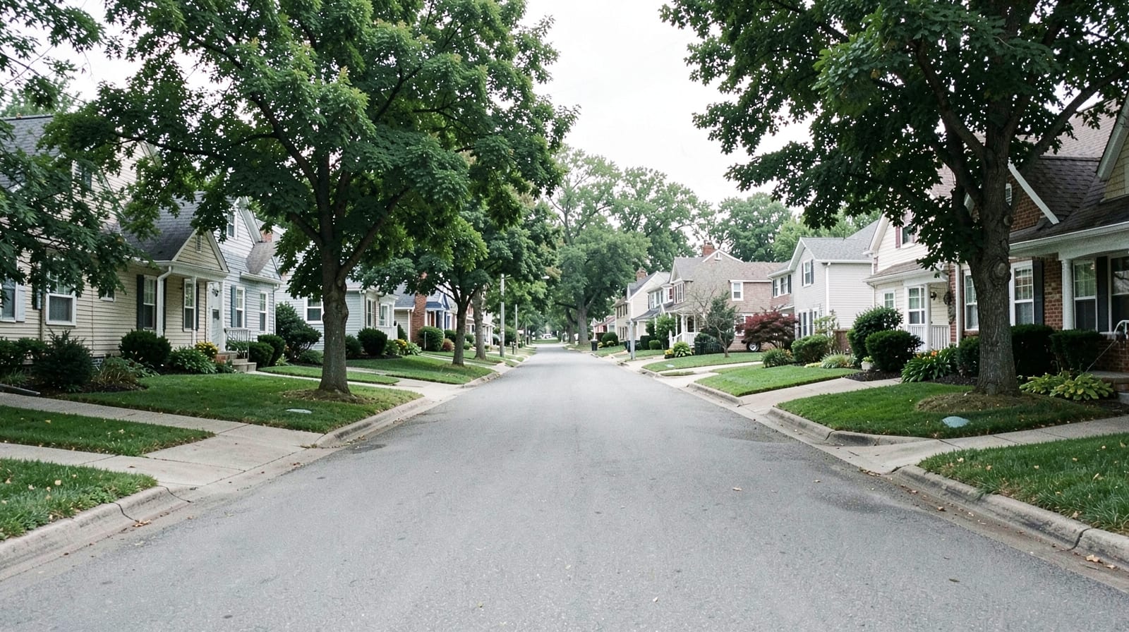 Gutter Cleaning in Hinckley Township, OH in Brunswick