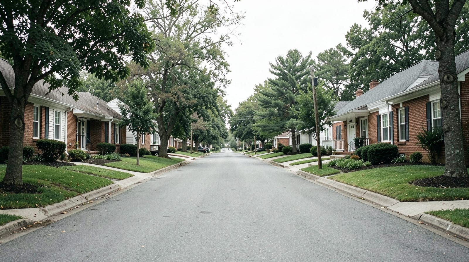 Gutter Cleaning in Wendell, NC