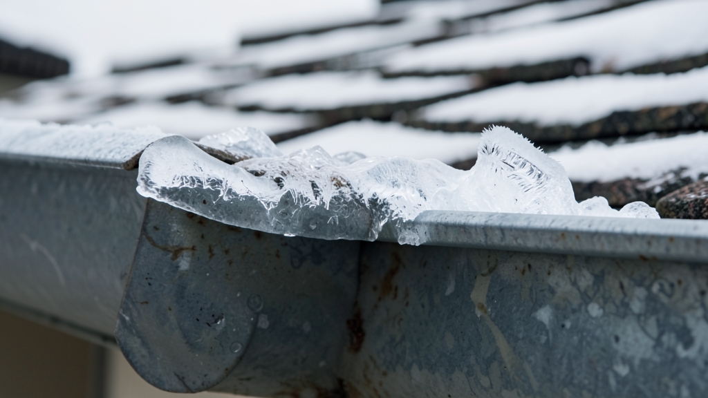 Gutter Cleaning for New Homeowners in Johns Creek: What to Expect