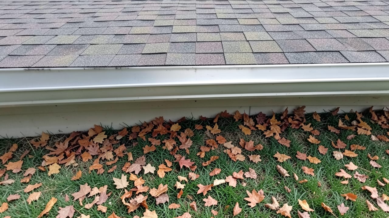 Clogged Gutter Debris Removal in Lake Oswego, OR in Lake Oswego