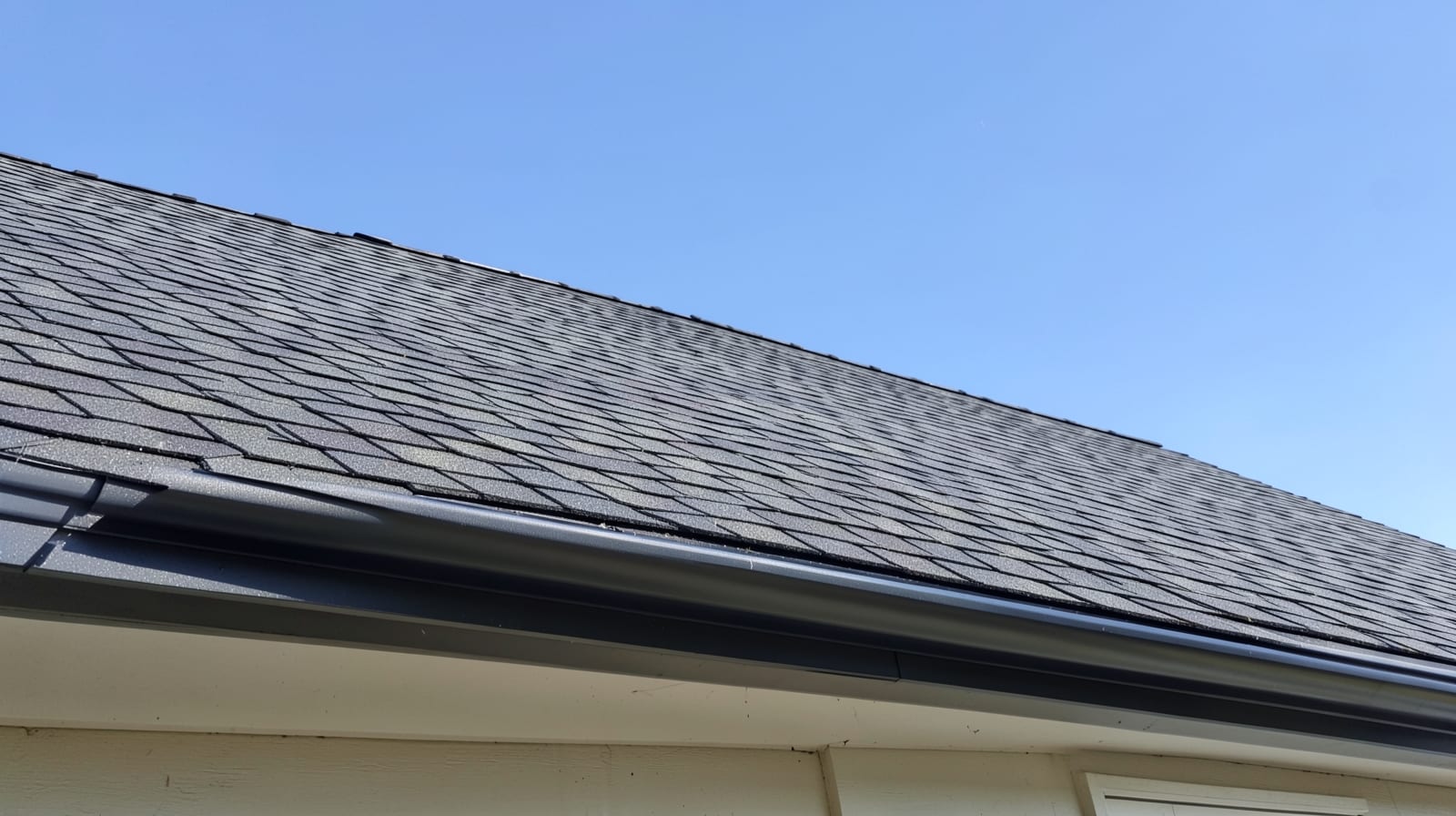 Roof & Gutter Inspection in Lake Oswego, OR in Lake Oswego