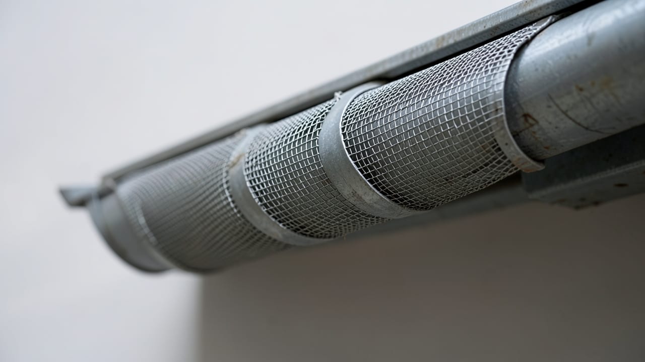 Gutter Screen Installation in Louisville, KY in Louisville