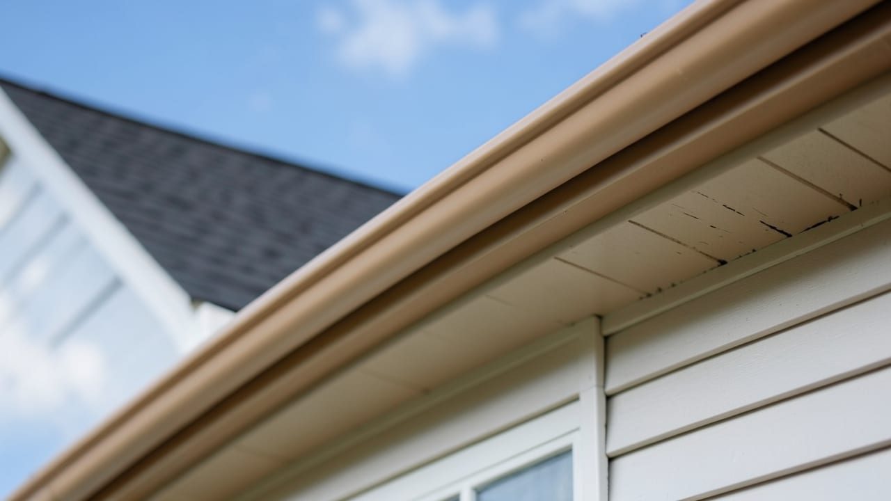 Gutter Paint Touch-Up in Mill Creek, WA in Mill Creek