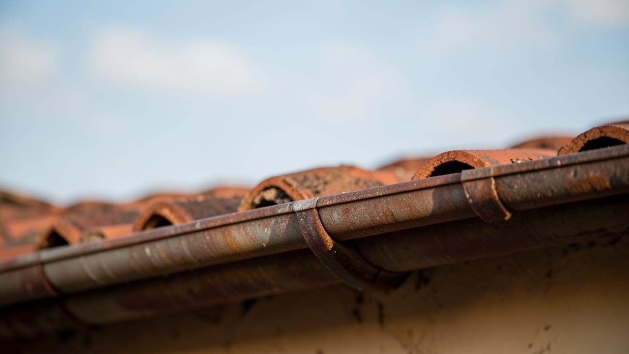 Tile Roof Gutter Debris Removal in Newnan, GA in Newnan