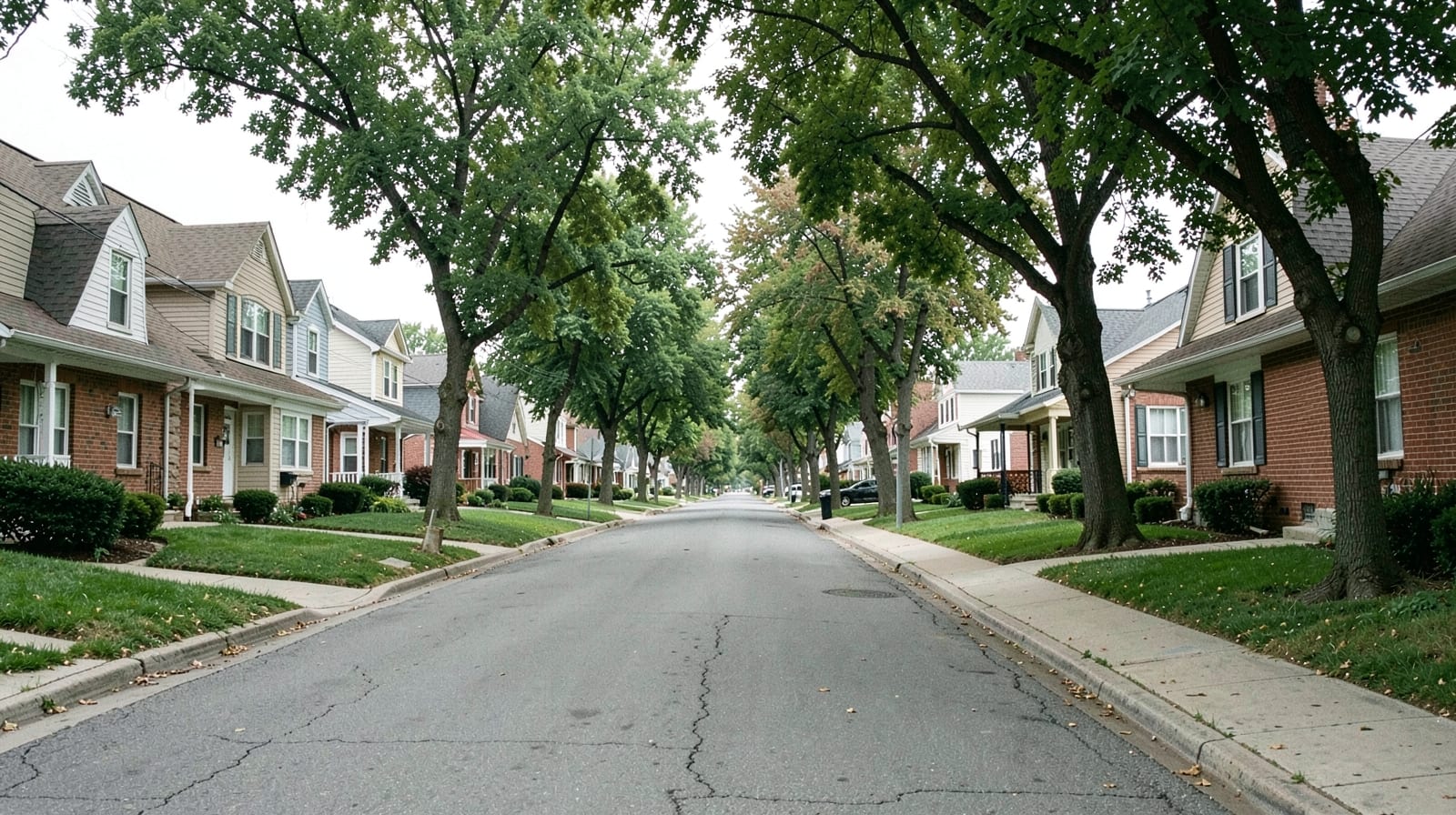 Gutter Cleaning in Duvall, WA