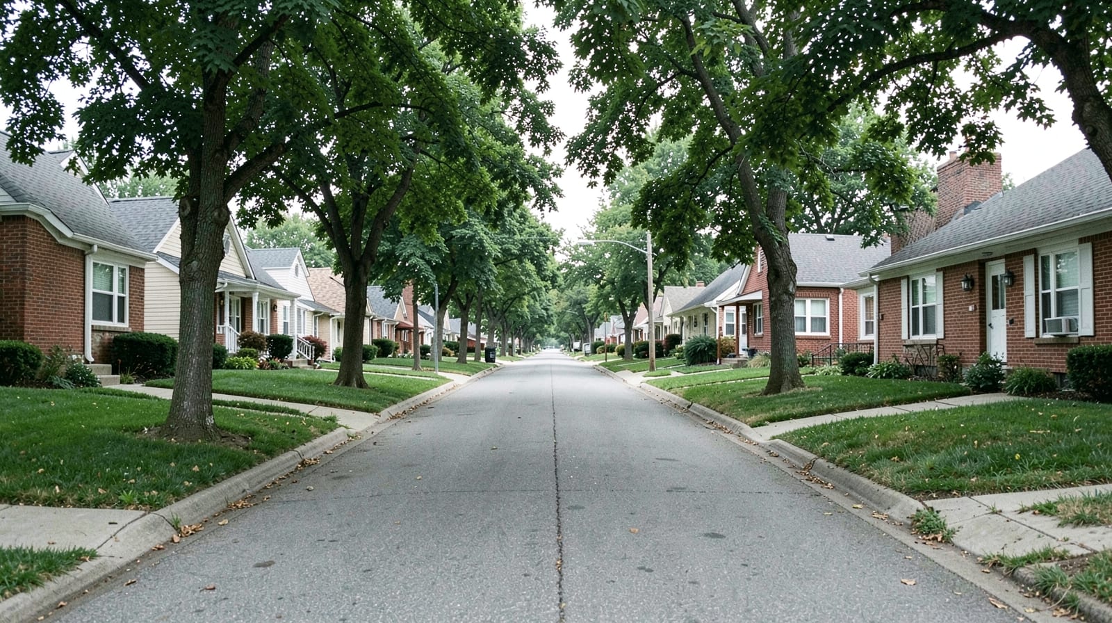 Gutter Cleaning in Union Hill-Novelty Hill, WA