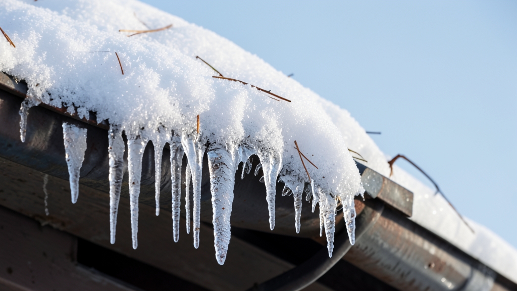 Are Brush Gutter Guards a Smart, Low-Cost Solution for Tigard Homes?