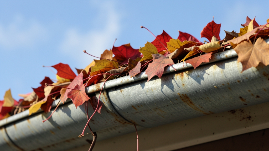 How to Stop and Fix Rusty Gutters in Tigard Before They Fail